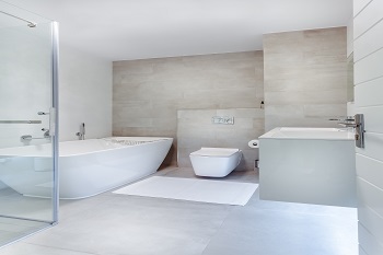 1682124217_Bathroom Cleaning.jpg